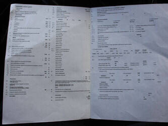 2020-fiat-fiorino-1395034-44317483