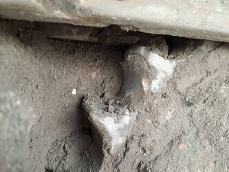 2017-volvo-ec300el-1395301-44332611