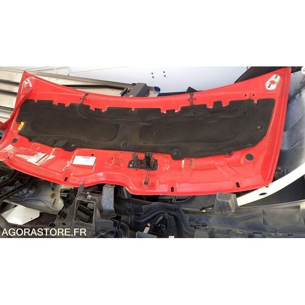 2014 رينو Master-44345880