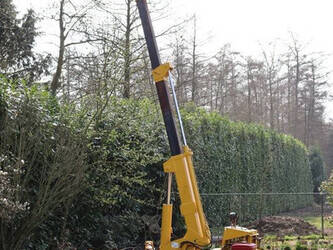 toa-cc-204-1396820-44430041