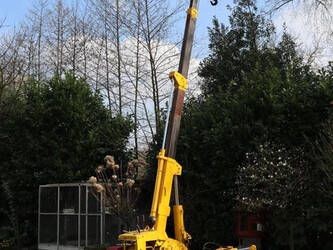 toa-cc-204-1396820-44430043