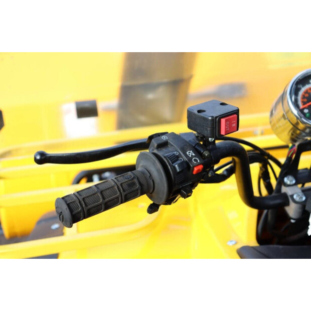 2024 Loncin HG-CXC120-44430079