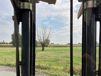 2016-linde-h25d-02-1396856-44431086