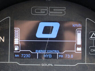 2010-goupil-g5-1397569-44476477