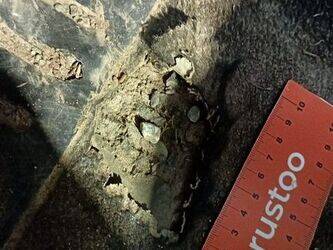 2010-peugeot-206-1397669-44489738