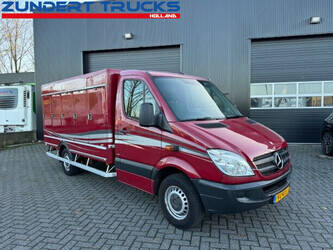 2012-mercedes-benz-sprinter-313-1397883-44517845