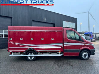 2014-mercedes-benz-sprinter-313-1397890-44518016