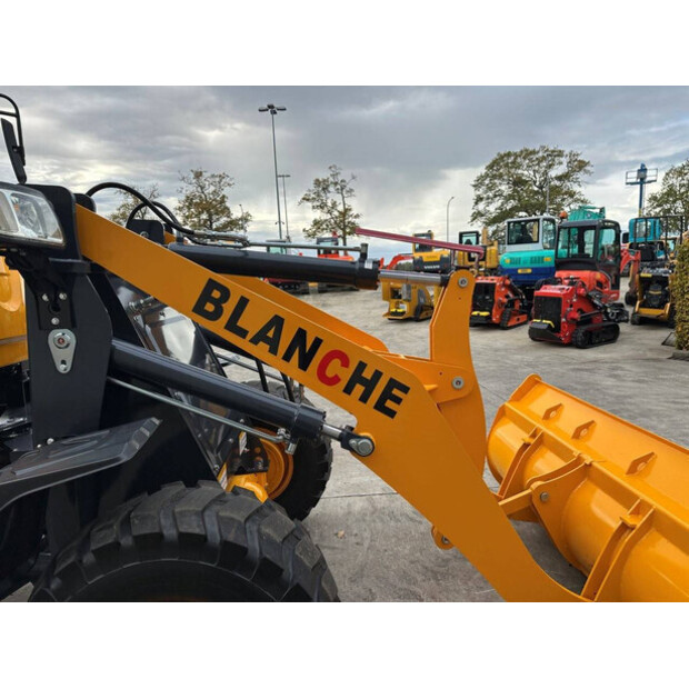 2025 Blanche TW36-44561031