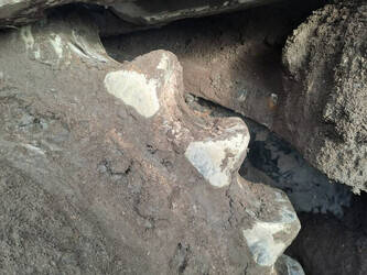 2024-caterpillar-395-44684223