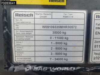 2021-reisch-rsbs-3-15-44686318