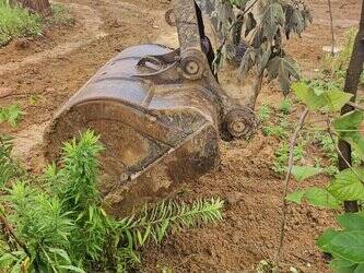 2023-sany-sy205h-1401372-44731385