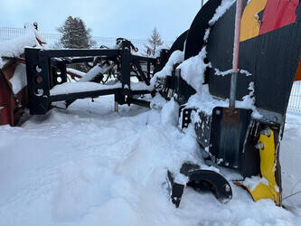 arctic-others-44734555