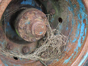 extec-others-1402101-44787509