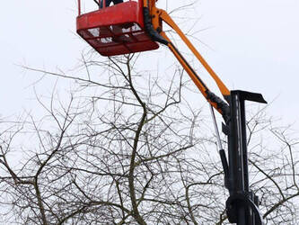 2015-atn-piaf-880r-1402160-44789449