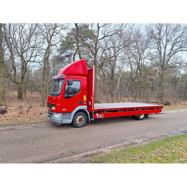 2009 DAF LF45-220-44790989