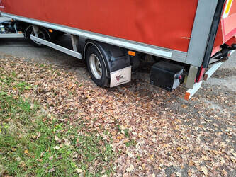 2018-veenhuis-others-44793703