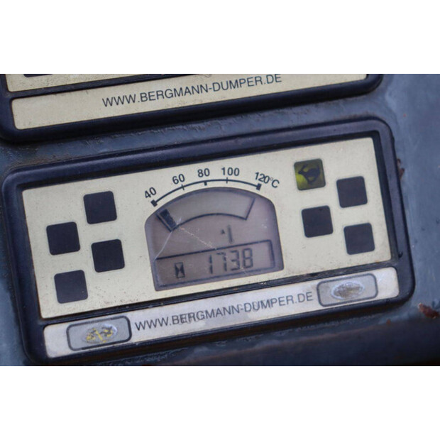 2011 Bergmann 2050S-44796917