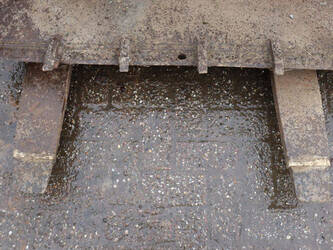 weidemann-2002-44798007