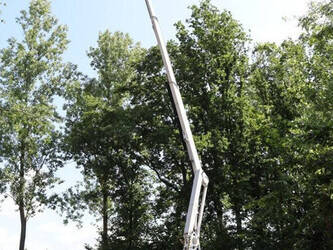 2010-niftylift-hr21d-1402635-44813820