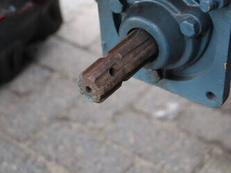 1955-lanz-d-1616-1403161-44839047