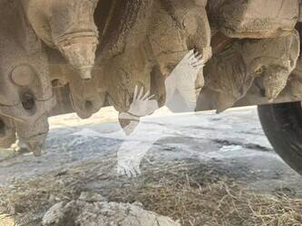 2011-wirtgen-w100-1279566-44852078