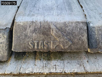 2017-stas-s300cx-1404181-44887342