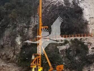 2021-bauer-bg38-44896977