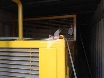 2002-wirth-pba818-44932732