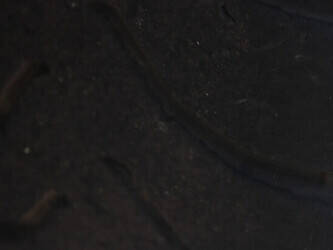 2007-volvo-fm-12-440-1228246-44944964