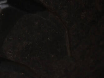 2007-volvo-fm-12-440-1228246-44944966