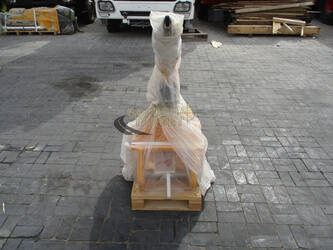 2025-sdch-08-1405461-44967618