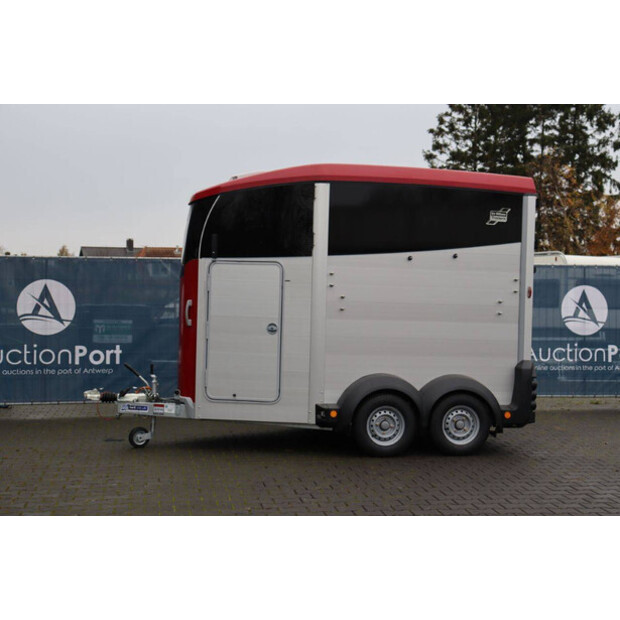 Williams HBX506-44969349