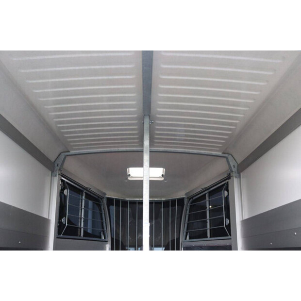 Williams HBX506-44969384