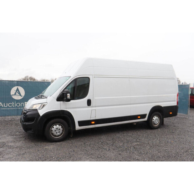Opel Movano-44969952