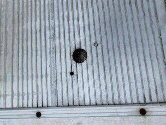 2016-renault-d-1405839-44986094