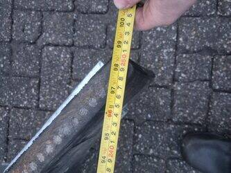 other-1406930-45020837