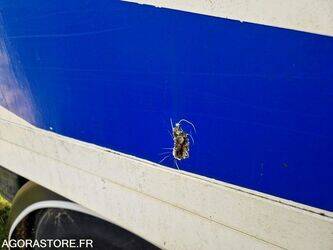 2007-iveco-190s31-1407113-45031401