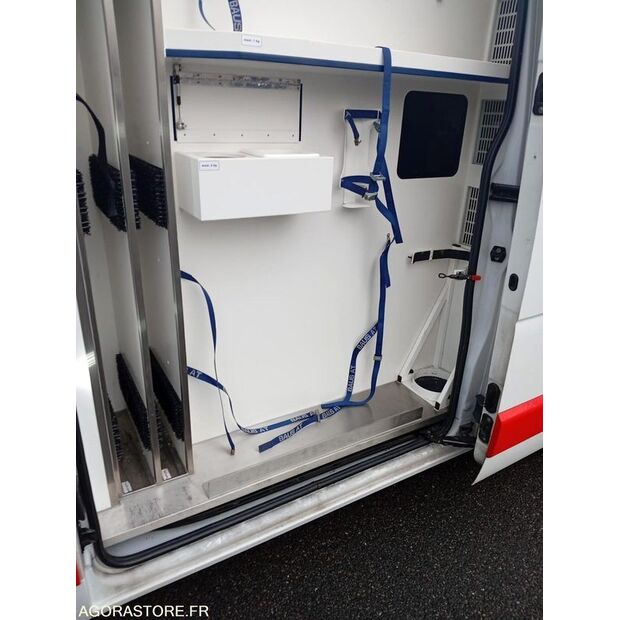 2019 رينو Master-45031708