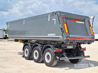 2020-schmitz-others-1407775-45036073