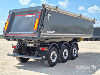 2020-schmitz-others-1407775-45036074