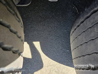 2021-schmitz-others-1407854-45036155