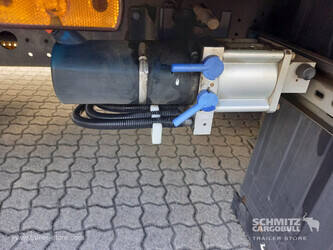 2020-schmitz-others-45036170