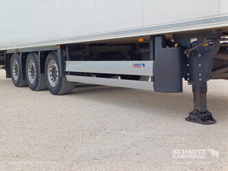 2022-schmitz-others-1407870-45036210