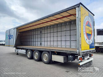 2021-schmitz-others-1407886-45036275