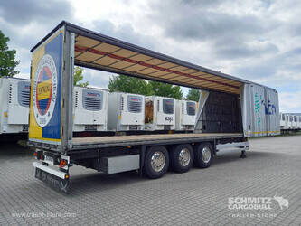 2021-schmitz-others-1407886-45036276