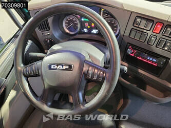 2018-daf-lf-290-1408049-45051702