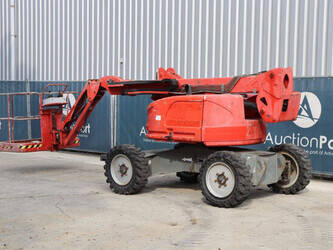 2011-atn-zebra-12-1408206-45057355