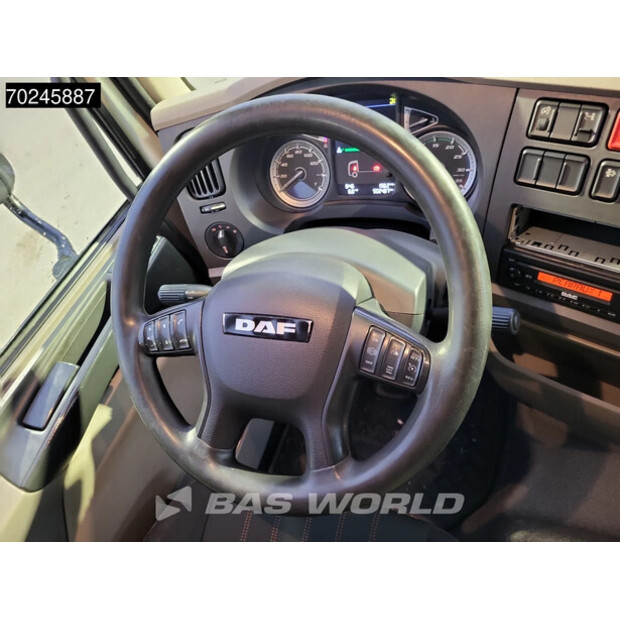 2019 DAF LF 290-45091710