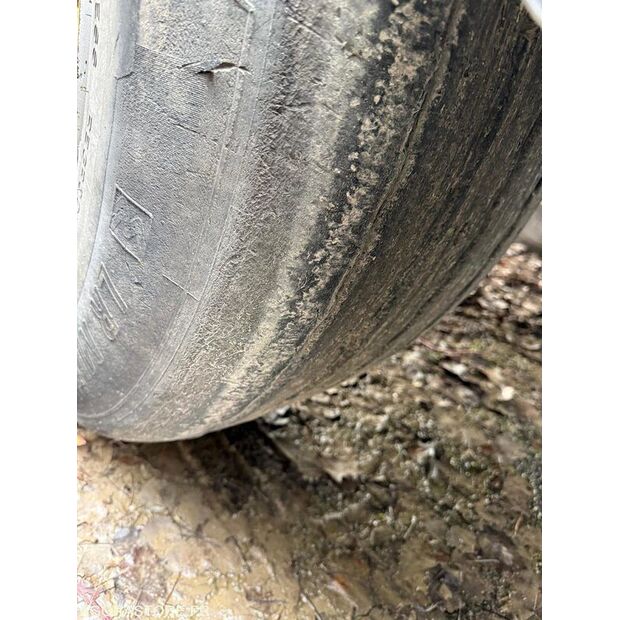 2018 شميتز كارجوبول SGF S3-45106398