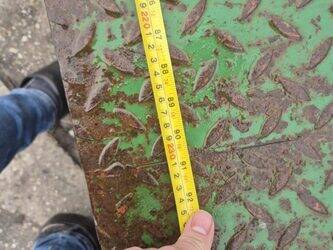 other-1409147-45118231